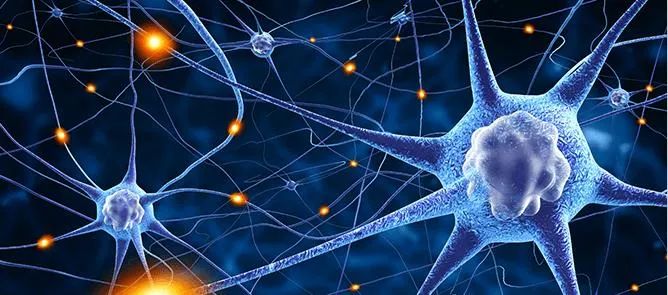 MA市場準(zhǔn)入 | 神經(jīng)介入①植入式神經(jīng)刺激器-臨床評價(jià)路徑